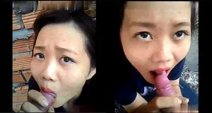 Gấu liếm cò ở vườn sau nhà